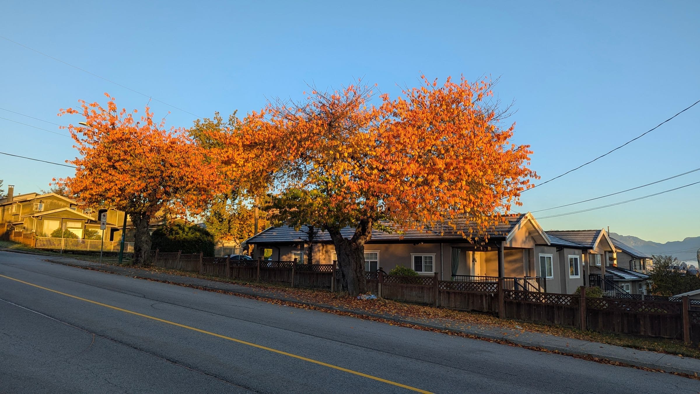 A quiet suburban street lined with autumn trees and the hills behind, near our windshield replacement Box Elder SD service area