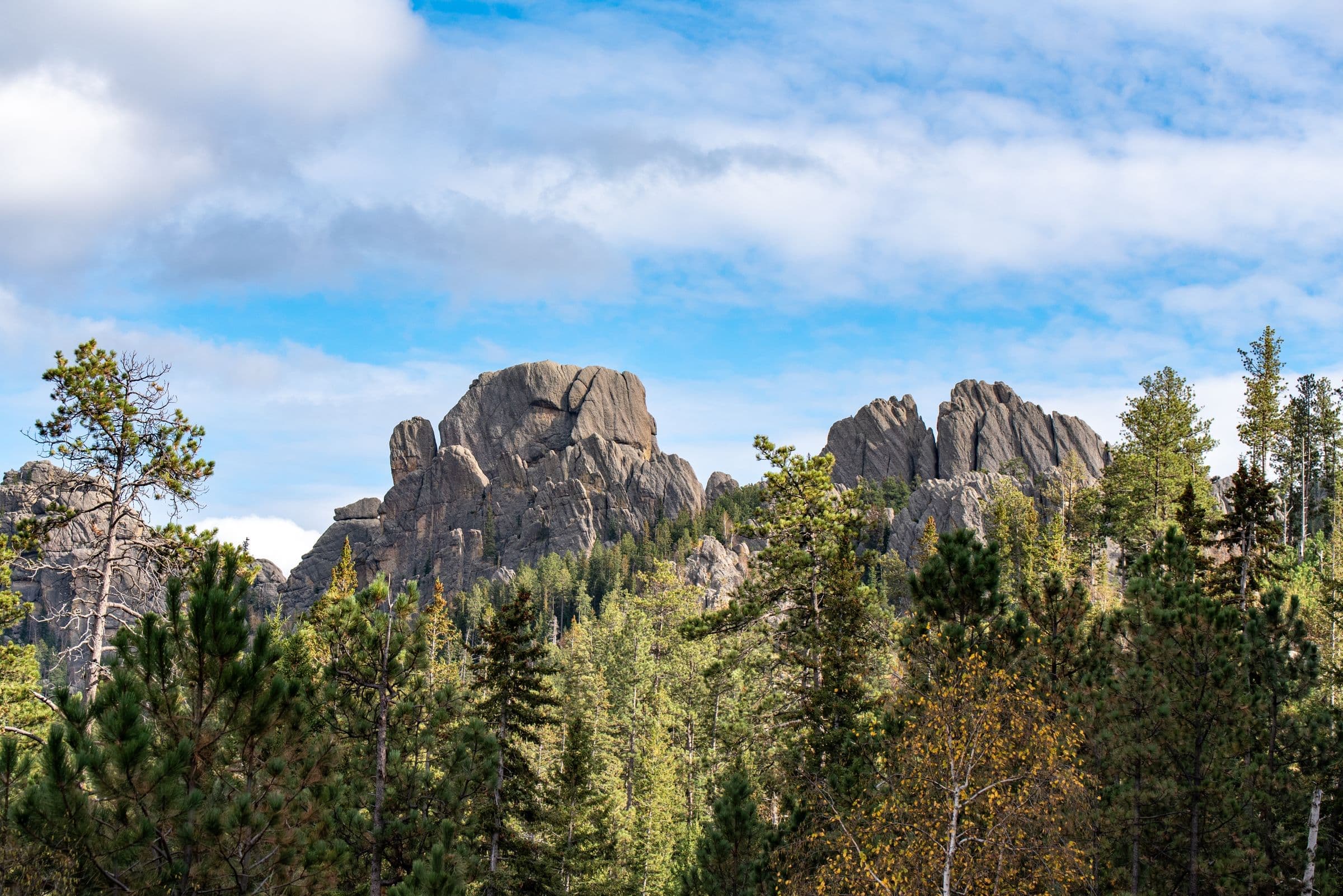 Granite rock spires among pine trees in the Black Hills, near our windshield replacement Hill City SD service area