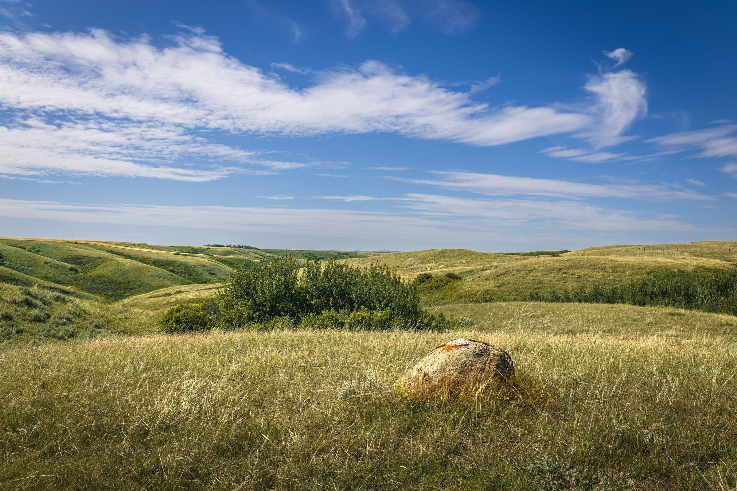 Rolling grassy hills under a bright sky, near our windshield replacement Piedmont SD service area
