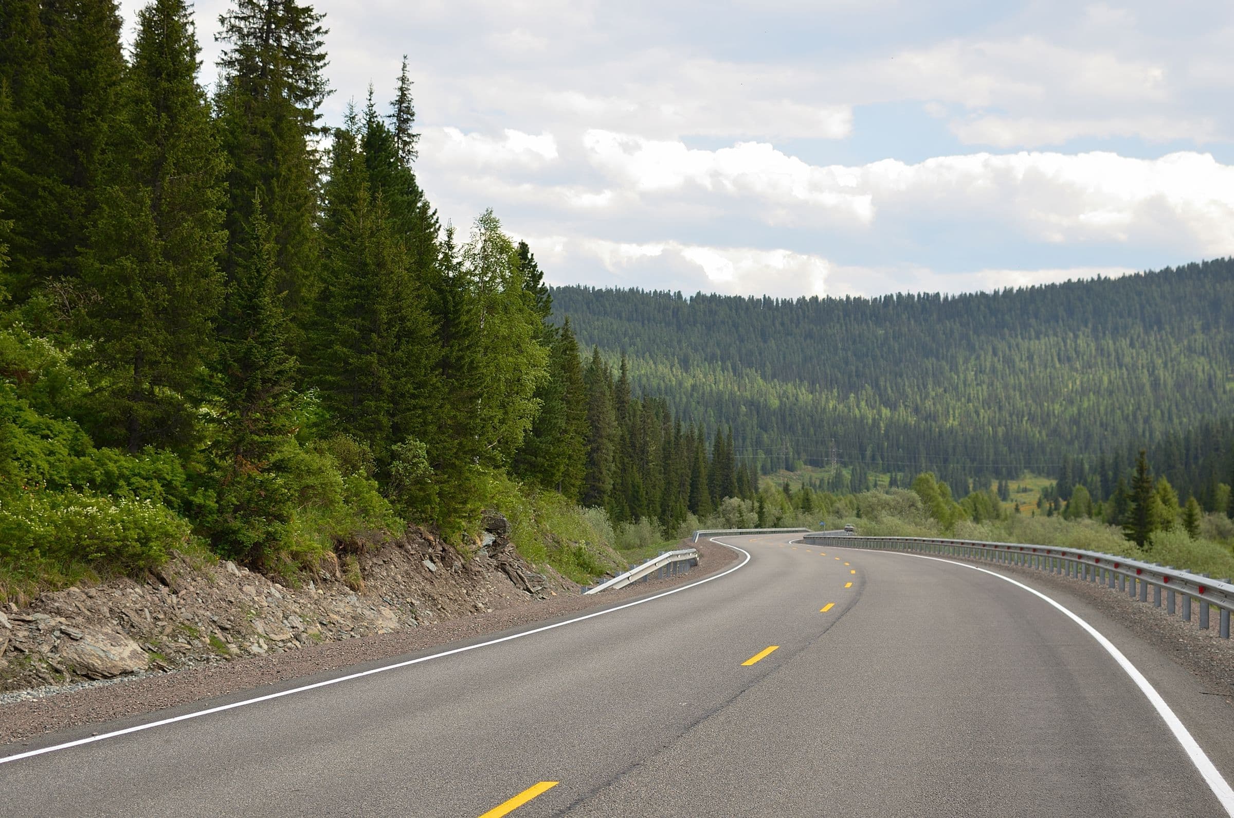 A curving mountain road through pine forest, near our windshield replacement Summerset SD service area