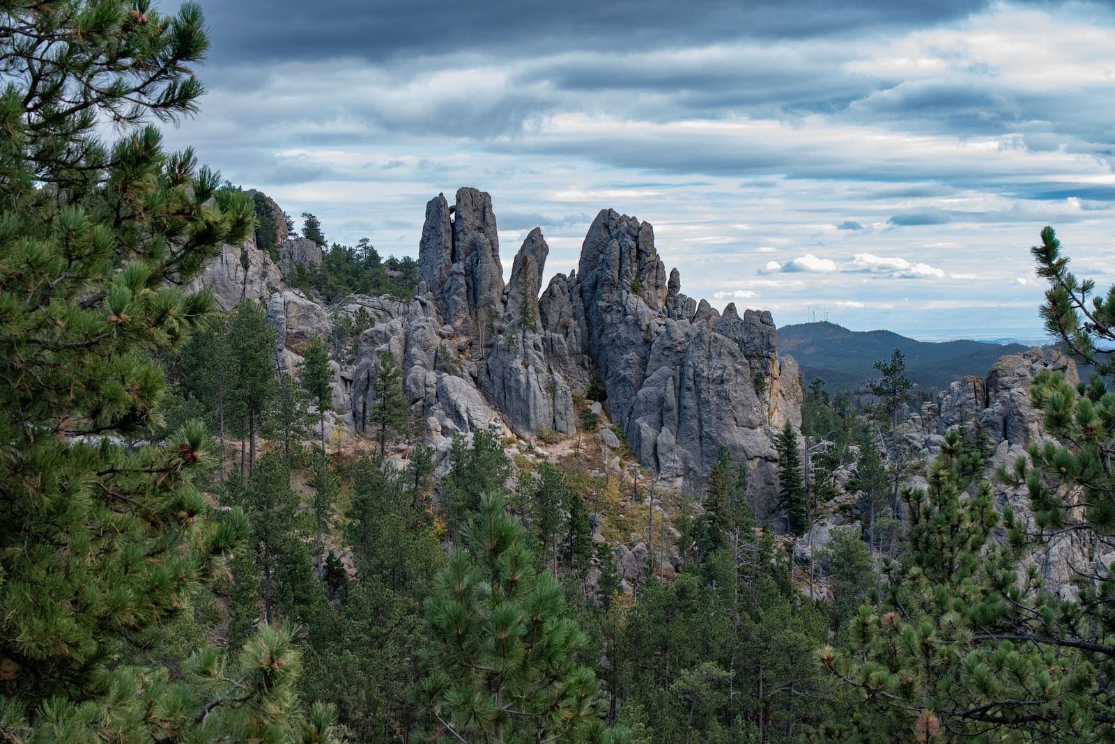 Granite spires and pine forest in the Black Hills near Rapid City